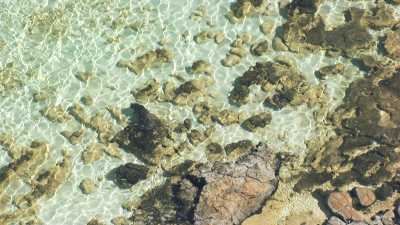Stromatolites à travers l'eau