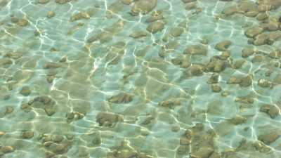 Stromatolites à travers l'eau