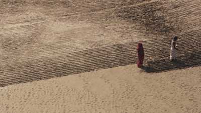 Semence de graines et culture sur le sable d'un char