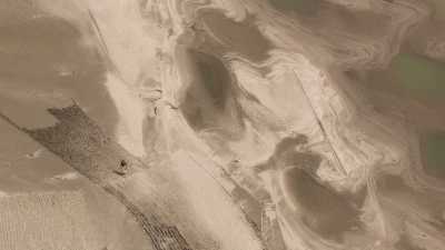 Semence de graines et culture sur le sable d'un char