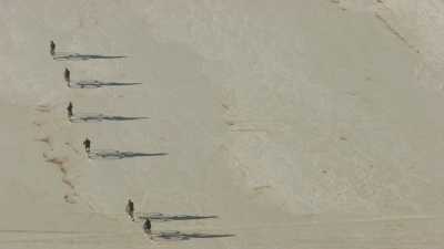 Ramasseurs de sel à vélo sur le Salar