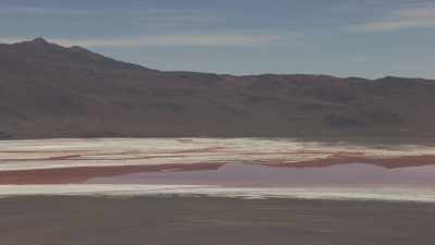 La Laguna Colorada aux couleurs contrastées dans la montagne