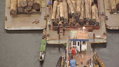 Transport du bois sur une barge surchargée