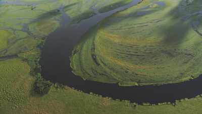 la rivière marécageuse Likouala aux herbes, affluent du Congo