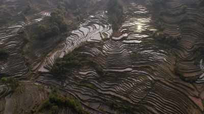 Les rizières en terrasse de Yuanyang