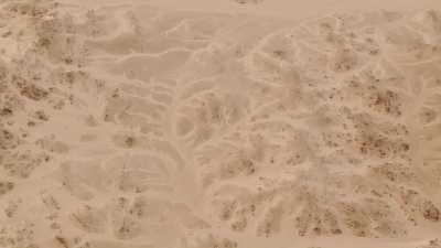 Formes de ramifications dans le sable