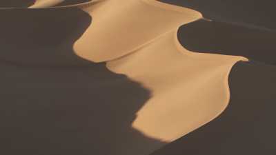 Les formes douces des dunes sahariennes et ombres