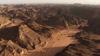 Dromadaires et canyon, dans le désert rocheux de la région de Djanet