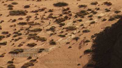 Dromadaires en groupe et leur berger, dans le désert rocheux de la région de Djanet