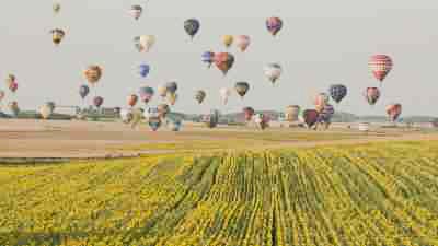Envol de montgolfières au-dessus des champs