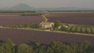 Propriétés dans les champs de lavande et village de Provence sur la crête