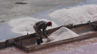 Gros plan du ramassage du sel dans les salins