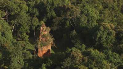 Temples en ruines dans la forêt dense
