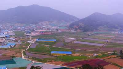 Culture et séchage d'algues en Corée