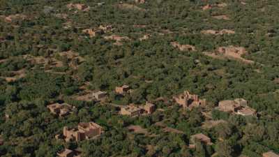 Palmeraie  près de Ouarzazate