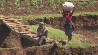 Paysans aux champs à Madagascar