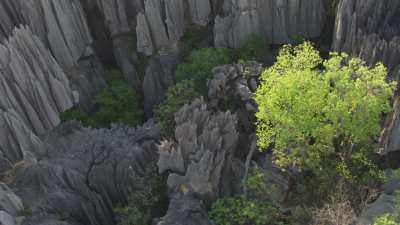 Le Parc National des  Tsingy de Bemaraha