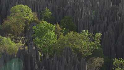 Le Parc National des  Tsingy de Bemaraha