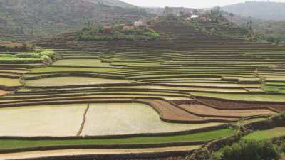 Paysages de champs cultivés, villages