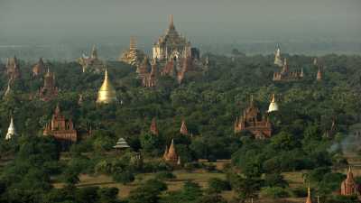 Les dômes des temples de Bagan dans la forêt