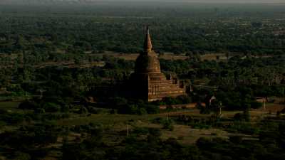 Les dômes des temples de Bagan dans la forêt