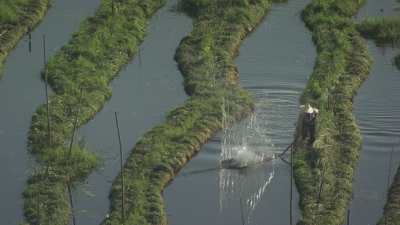 Agriculteurs frappent la surface de l'eau