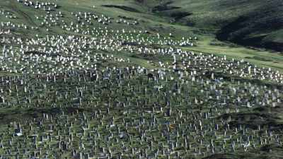Vastes steppes mongoles, cimetière