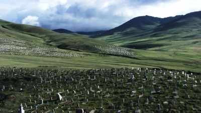 Vastes steppes mongoles, cimetière