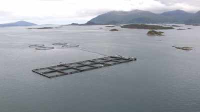 Bassins de pisciculture norvégiens