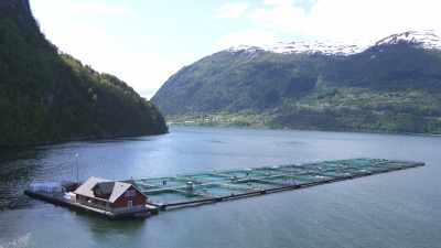 Bassins de pisciculture norvégiens