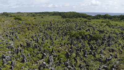 Vues de l'enchevêtrement de pics coraliens laissés par l'exploitation du phosphate