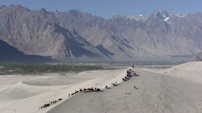 Caravane de Yak au dessus de l'Indus