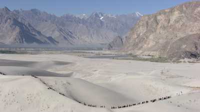 Caravane de Yak au dessus de l'Indus