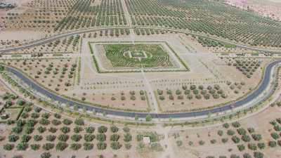 Jardins de l'Agdal, oliveraie et place au labyrinthe