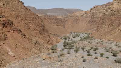 Canyon près de Al-Ula