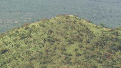 Les collines vertes du Jebel Logotafian, près de la frontière kenyane