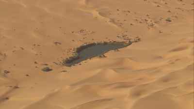 Dunes et oasis sahariennes