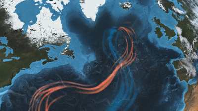 Les courants marins et l'efflorescence algale