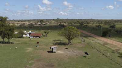 Fermes près de la réserve naturelle Ibera