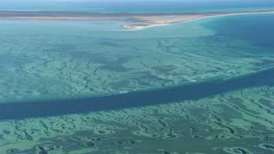Wooramel Seagrass, prairie d'algues de Shark Bay