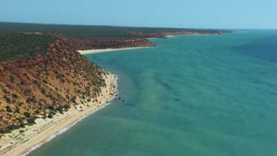Woramel Seagrass, prairie d'algues de Shark Bay