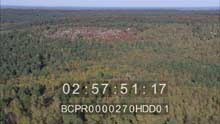 Forêt de Fontainebleau et Barbizon