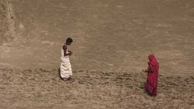 Semence de graines et culture sur le sable