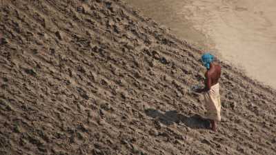 Semence de graines et culture sur le sable d'un char
