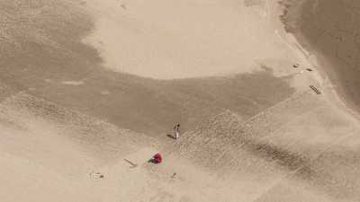 Semence de graines et culture sur le sable d'un char