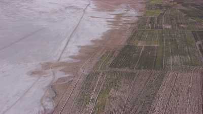 La lisière du Salar et des plantations d'arbres
