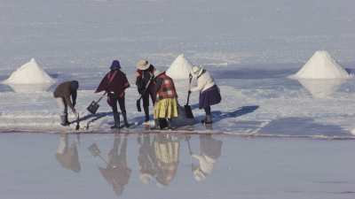 Ramasseurs de sel sur le Salar