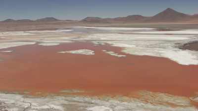 Couleurs vives de la Laguna Colorada