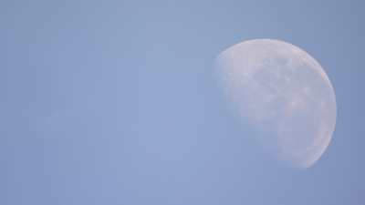 Lune