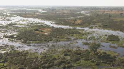Delta de l'Okavango